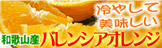 バレンシアオレンジ