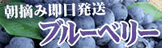 �֥롼�٥꡼