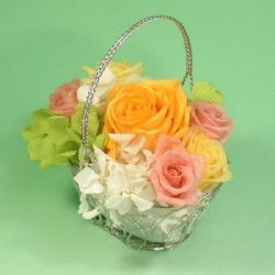 ������̵���ۡ������ ���եȡۥץꥶ���֥ɥե�����å�������󥸡�ø�ϡۡ�5��11�ʹ߽缡�в�(¨���������в�)