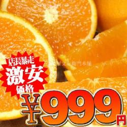 ����ͭ�Ļ� ��������󥸡�������4kg�ˤ������ѡڤ����������Բġ�������or���쥸�åȷ�ѤǤ��ꤤ���ޤ���