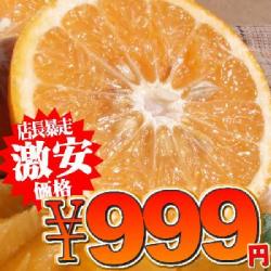 ����ͭ�Ļ� �ĥα�����󥸡ʥ���ե롼�ġˡ�������4kg�ˤ������ѡڤ����������Բġ�������or���쥸�åȷ�ѤǤ��ꤤ���ޤ���