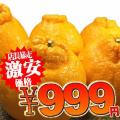 ����ͭ�Ļ� �ǥ��ݥ��������3kg�ˤ������ѡڤ����������Բġ�������or���쥸�åȷ�ѤǤ��ꤤ���ޤ���