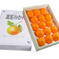 ͭ�Ĥߤ������ꤵ����Υϥ����ߤ�����1.2kg(12��15��)�ڲ���Ȣ���������������ʡ�