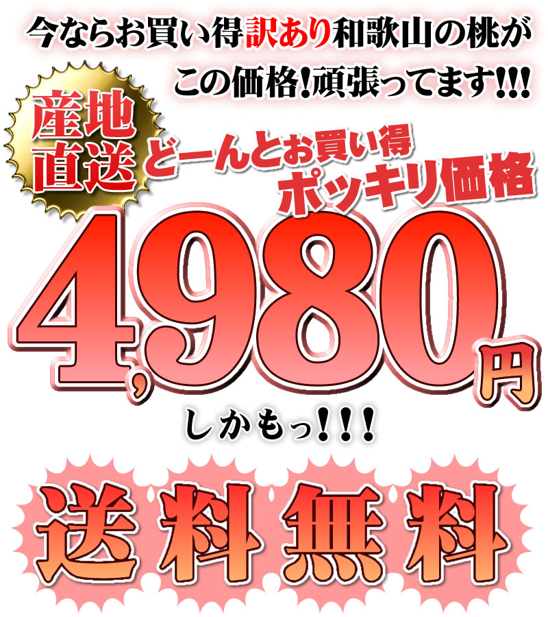 産地直送今なら訳アリ和歌山の桃がこの価格！頑張ってます！送料無料！