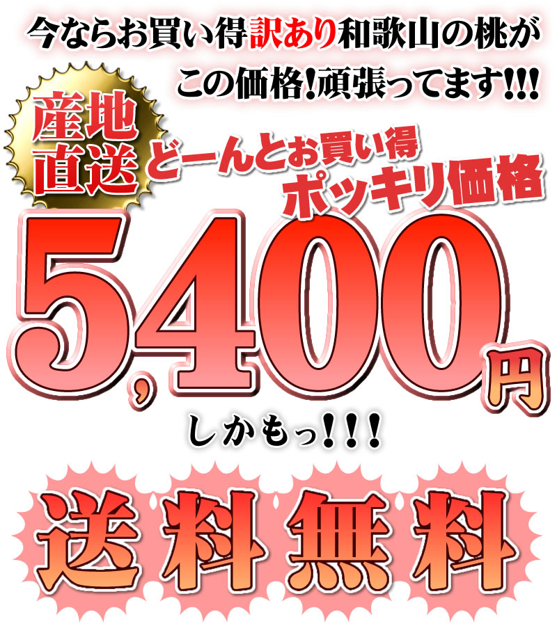 今ならお買い得訳あり和歌山の桃がこの価格!頑張ってます!