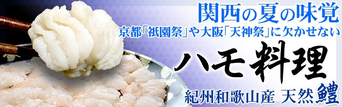 天然紀州和歌山産[活鱧]鮮度抜群！３～４人前【約４００ｇ】（送料無料）紀州産／ご注文を頂いてから調理します