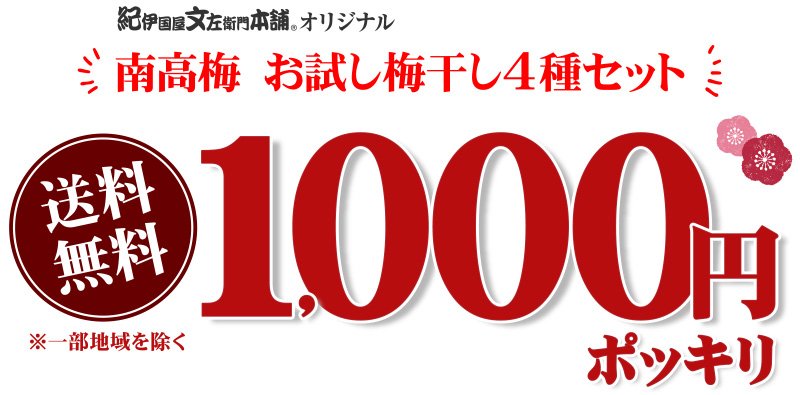 お試し梅1000円ポッキリ