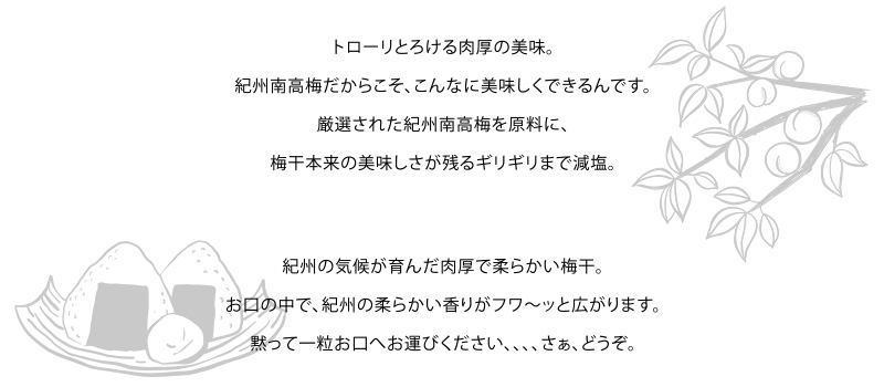 南高梅