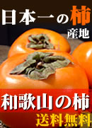 和歌山の柿