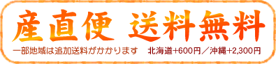 産直便・送料無料