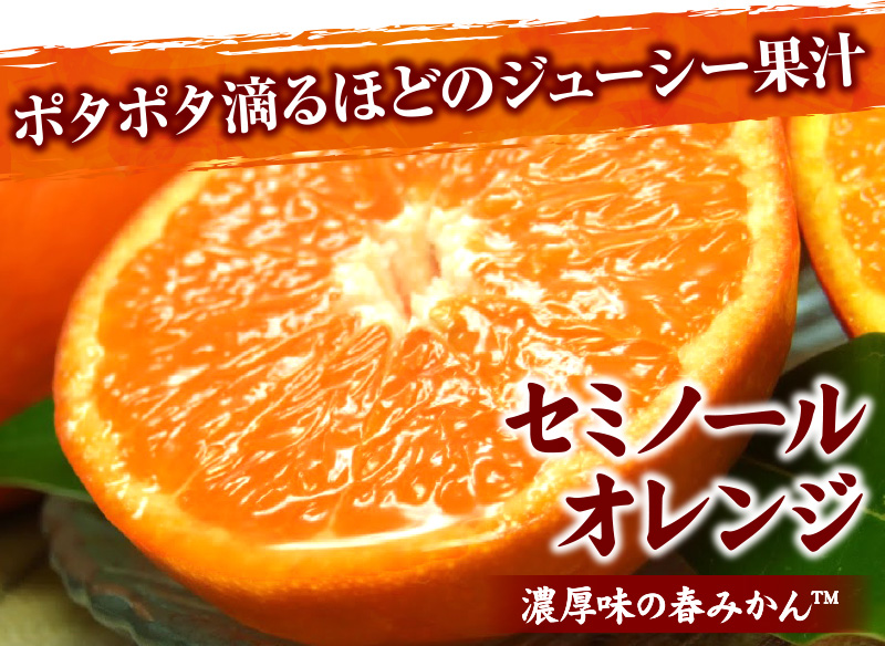 セミノールオレンジ